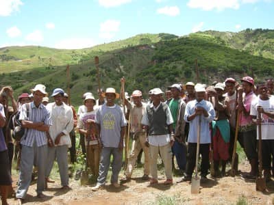 Nos partenaires, producteurs d'huiles essentielles 