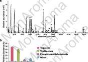 Chromatographie Huile essentielle Champaca